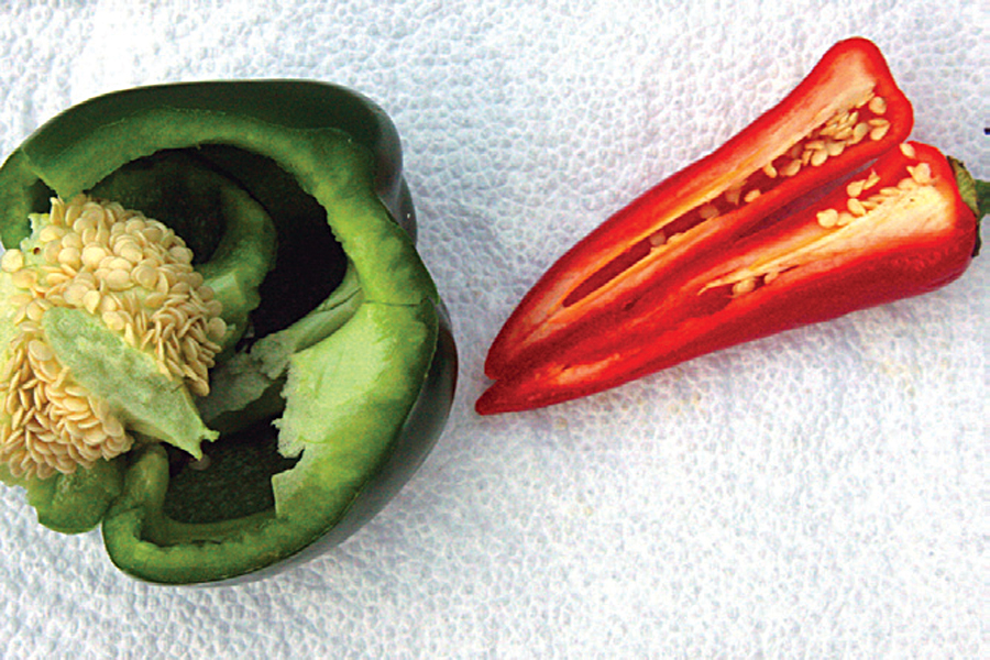 How to Use Vinegar as a Natural Weed Deterrent